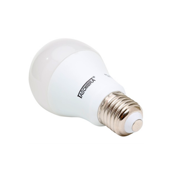 Lâmpada LED Autovolt 9w Luz Fria 6500K
