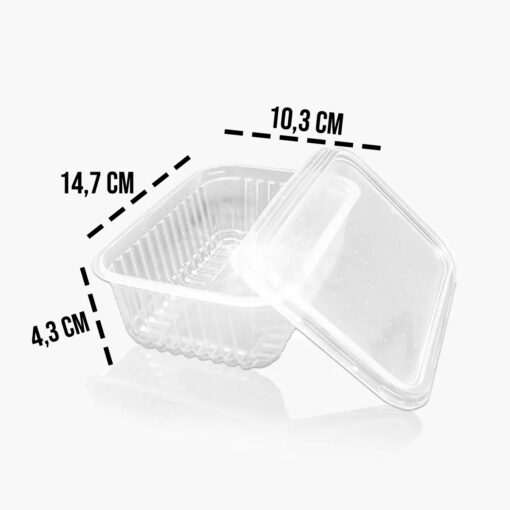 Potes Retangulares 250ml Descartaveis 24 Unidades Prafesta