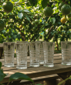 set, kit, conjunto Jogo de Copos Equilíbrio 300ml 6 Peças Casambiente