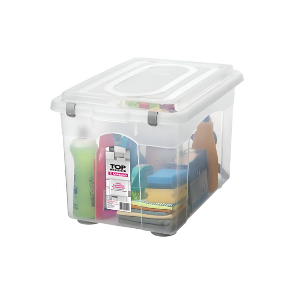 Organizador