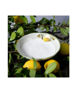 Prato Fundo Bio Lemon Porto Brasil