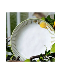 Prato Fundo Bio Lemon Porto Brasil