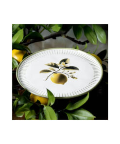 LEMON PRATO RASO BIO PORTO BRASIL