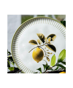 LEMON PRATO RASO BIO PORTO BRASIL