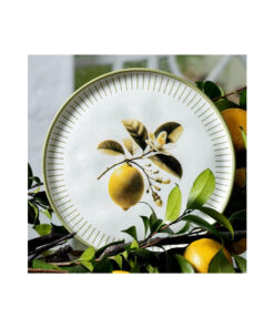 LEMON PRATO RASO BIO PORTO BRASIL