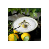 Prato Sobremesa Bio Lemon Porto Brasil