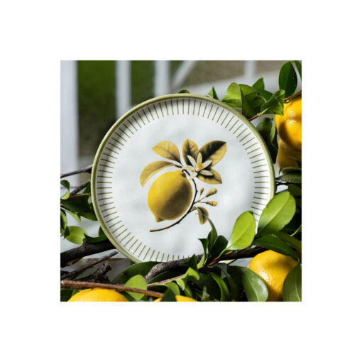 Prato Sobremesa Bio Lemon Porto Brasil