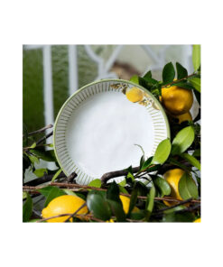 LEMON P FUNDO BIO PORTO BRASIL