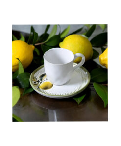 LEMON XIC CAFE BIO PORTO BRASIL