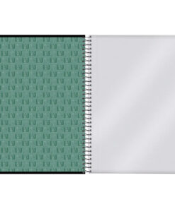 Caderno Universitário 10 Matéria 160 Folhas - My Hero Academia