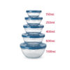 Conjunto 5 Potes de Vidro com Tampa Class Home