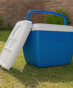 Uma caixa térmica no jardim