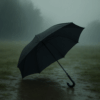 Guarda-chuva preto grande com cabo curvo