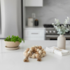 Colar de Mesa Decorativo em Madeira para Ambientes Modernos Livon