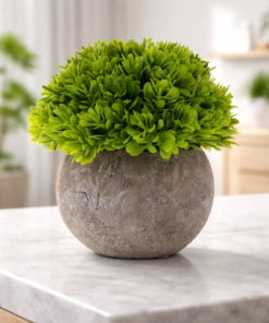 Arranjo Planta Permanente Vaso em Cerâmica 13X9cm