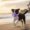 Chinelo de Borracha Brinquedo para Pet Wellmix