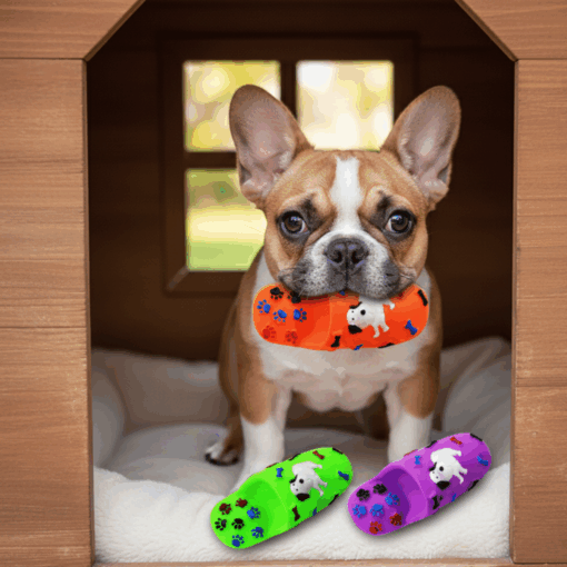 Crocs de Borracha Brinquedo para Pet Wellmix