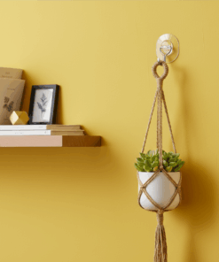 Gancho Adesivo de Plástico 6uni 5kgs Multiuso Transparente