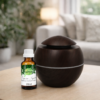 Kit Umidificador Bola com Essência Aromatizador