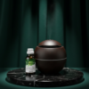 Kit Umidificador Bola com Essência Aromatizador