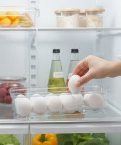 Porta ovos 12 unidades transparente UZ