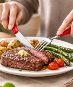 Faqueiro 24 Peças Tramontina Ipanema Aço Inox Talheres Resistentes