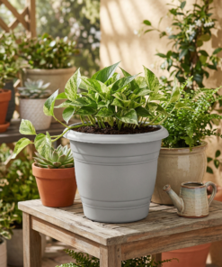 Vaso de planta redondo Nutriplan