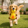 Pelúcia Cachorrinho 18cm Brinquedo Macio para Cães