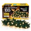 Pisca-pisca 100 Leds Cordão De 9 Metros Decoração 127 Volts